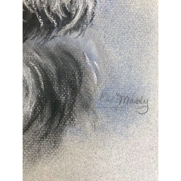 Vintage Pastel Drawing Schnauzer Gray Dog Original Art - Picture 3 of 8